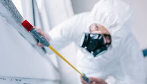 Best Pest Control for Multi-Family Homes  in Contoocook, NH